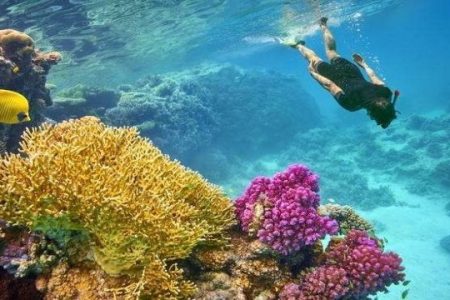Sharm El Louli & Qullan Island