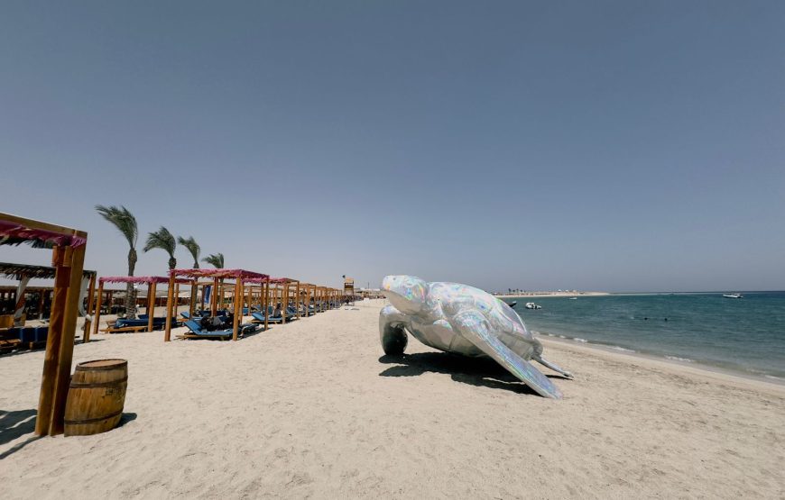 Abu Dabbab Beach Marsa Alam